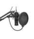 Genesis Condenser Microphone Radium 400 G2 Black