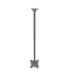 Neomounts CL35-340BL22 Dual Monitor/TV Mount Ceiling Adjustable Height, Rotate, Tilt, Swivel 23-42 " Maximum