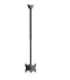 Neomounts CL35-340BL22 Dual Monitor/TV Mount Ceiling Adjustable Height, Rotate, Tilt, Swivel 23-42 " Maximum