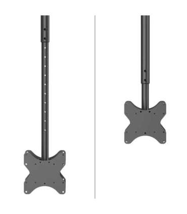 Neomounts CL35-340BL22 Dual Monitor/TV Mount Ceiling Adjustable Height, Rotate, Tilt, Swivel 23-42 " Maximum