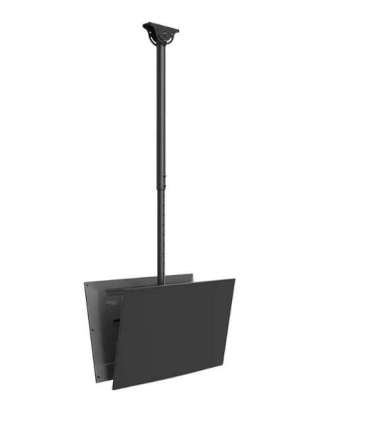 Neomounts CL35-340BL22 Dual Monitor/TV Mount Ceiling Adjustable Height, Rotate, Tilt, Swivel 23-42 " Maximum