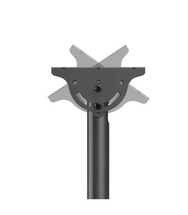 Neomounts CL35-340BL22 Dual Monitor/TV Mount Ceiling Adjustable Height, Rotate, Tilt, Swivel 23-42 " Maximum