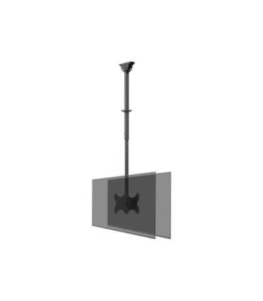 Neomounts CL35-340BL22 Dual Monitor/TV Mount Ceiling Adjustable Height, Rotate, Tilt, Swivel 23-42 " Maximum