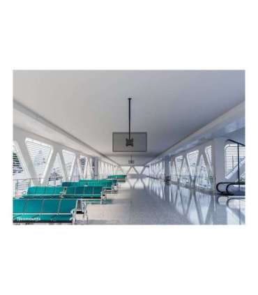 Neomounts CL35-340BL22 Dual Monitor/TV Mount Ceiling Adjustable Height, Rotate, Tilt, Swivel 23-42 " Maximum