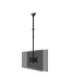 Neomounts CL35-340BL22 Dual Monitor/TV Mount Ceiling Adjustable Height, Rotate, Tilt, Swivel 23-42 " Maximum