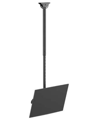 Neomounts CL35-440BL16L Monitor/TV Mount Ceiling Adjustable Height, Rotate, Tilt, Swivel 37-70 " Maximum weight