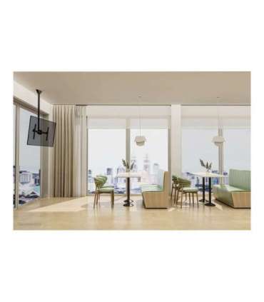 Neomounts CL35-440BL16L Monitor/TV Mount Ceiling Adjustable Height, Rotate, Tilt, Swivel 37-70 " Maximum weight