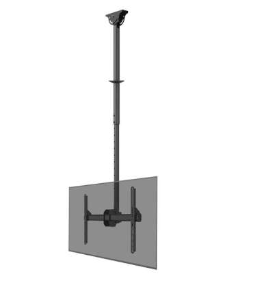 Neomounts CL35-440BL16L Monitor/TV Mount Ceiling Adjustable Height, Rotate, Tilt, Swivel 37-70 " Maximum weight