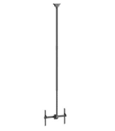 Neomounts CL35-440BL16XL Monitor/TV Mount Ceiling Adjustable Height, Rotate, Tilt, Swivel 37-70 " Maximum weight