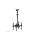 Neomounts NM-C440DBLACK Dual monitor/TV mount ceiling Adjustable Height, Rotate, Tilt, Swivel 32-60 " Maximum