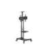 Neomounts Floor stand NM-M1700BLACK TV trolley Adjustable Height 32-75 " Maximum weight (capacity) 50 kg Black