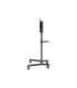 Neomounts Floor stand NS-M1250BLACK TV trolley Rotate, Tilt 37-70 " Maximum weight (capacity) 70 kg Black