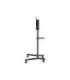 Neomounts Floor stand NS-M1250BLACK TV trolley Rotate, Tilt 37-70 " Maximum weight (capacity) 70 kg Black