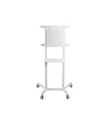 Neomounts Floor stand NS-M1250WHITE TV trolley Rotate, Tilt 37-70 " Maximum weight (capacity) 70 kg White
