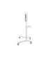 Neomounts Floor stand NS-M1250WHITE TV trolley Rotate, Tilt 37-70 " Maximum weight (capacity) 70 kg White