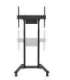 Neomounts Floor stand FL55-875BL1 TV trolley Adjustable Height 55-100 " Maximum weight (capacity) 110 kg Black