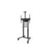 Neomounts Floor stand FL55-875BL1 TV trolley Adjustable Height 55-100 " Maximum weight (capacity) 110 kg Black