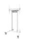 Neomounts Floor stand FL55-875WH1 TV trolley Adjustable Height 55-100 " Maximum weight (capacity) 110 kg White