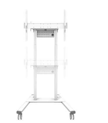 Neomounts Floor stand FL55-875WH1 TV trolley Adjustable Height 55-100 " Maximum weight (capacity) 110 kg White