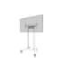Neomounts Floor stand FL55-875WH1 TV trolley Adjustable Height 55-100 " Maximum weight (capacity) 110 kg White