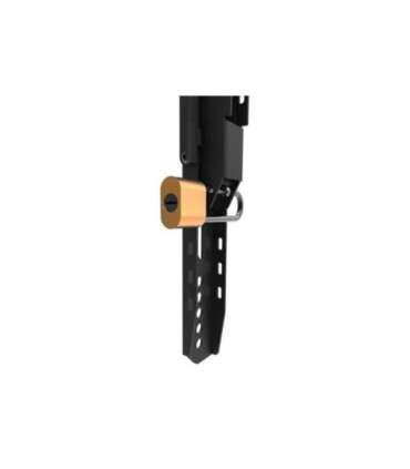 Neomounts Wall mount WL30-750BL14 Heavy duty wall mount Adjustable Height 32-75 " Maximum weight (capacity) 100
