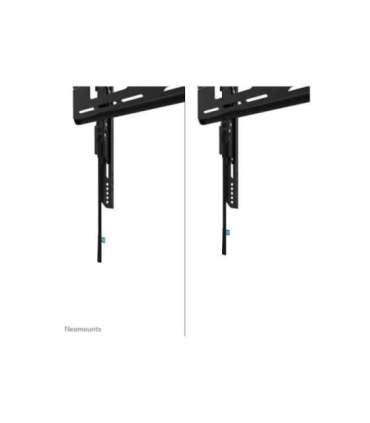 Neomounts Wall mount WL30-750BL14 Heavy duty wall mount Adjustable Height 32-75 " Maximum weight (capacity) 100