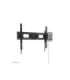 Neomounts Wall mount WL35-750BL18 Heavy duty wall mount Adjustable Height, Tilt 43-98 " Maximum weight