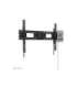 Neomounts Wall mount WL35-750BL18 Heavy duty wall mount Adjustable Height, Tilt 43-98 " Maximum weight