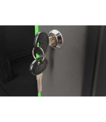 Digitus Wall Mounting Cabinet DN-19 09-U-EC-SW Black