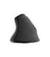 Natec Vertical Mouse Euphonie Pro Wireless Bluetooth, 2.4GHz Black