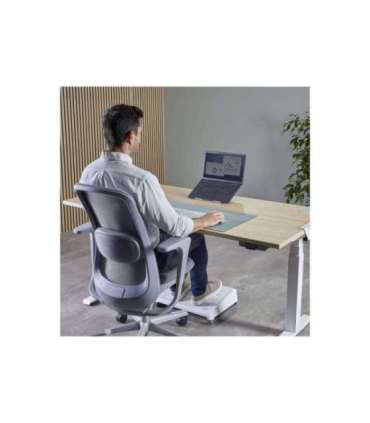 Fellowes Alumia Portable Laptop Stand 15 " Laptop Stand Silver