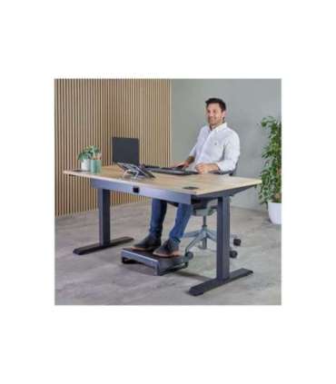 Fellowes Alumia Portable Laptop Stand 15 " Laptop Stand Silver