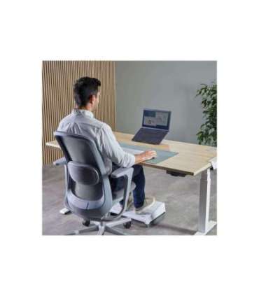 Fellowes Alumia Portable Laptop Stand 15 " Laptop Stand Black