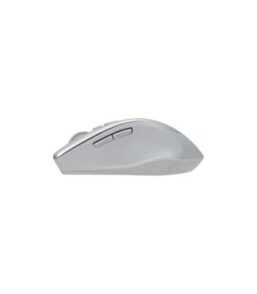 Asus WT425 MOUSE/SIL Asus