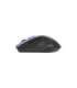Asus WT425 MOUSE/GY-BL/ Asus