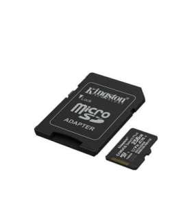 Kingston Canvas Select Plus 256 GB microSD Flash memory class Class 10, UHS-I, U1/U3, video class 10/30, A1
