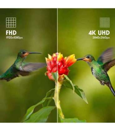 TV Set|THOMSON|43"|4K/Smart|QLED|3840x2160|Google TV|White|43UG4S14W