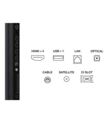 TV Set|TCL|55 "|4K Ultra HD|3840 x 2160 pixels|Flat|16:9|QD-Mini LED|55Q6C