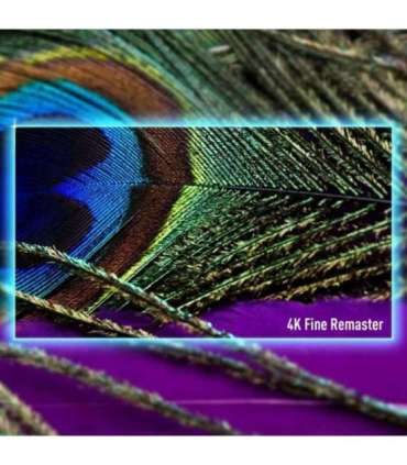 TV Set|PANASONIC|55"|4K/Smart|3840x2160|Wireless LAN|Bluetooth|Google TV|TV-55W90AEG