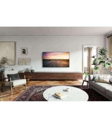 TV Set|PANASONIC|55"|4K/Smart|3840x2160|Wireless LAN|Bluetooth|Google TV|TV-55W90AEG