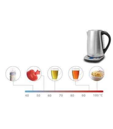 Caso WK 2200 With electronic control 2200 W 1.7 L Stainless steel 360° rotational base Stainless steel