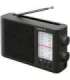 Sony Analog Radio ICF-506 5 W Black