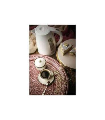 Camry Kettle CR 1255 Standard 2200 W 1.7 L Plastic 360° rotational base White