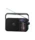 Panasonic Portable Radio RF-2400DEG-K Black