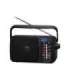 Panasonic Portable Radio RF-2400DEG-K Black