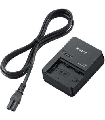 Sony Battery charger BC-QZ1