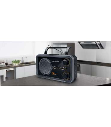 Muse 2-bands portable radio M-06DS AUX in Grey