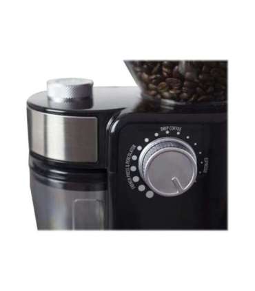 Caso Coffee grinder Barista Crema 150 W Coffee beans capacity 240 g Number of cups 12 pc(s) Black
