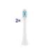 ETA Toothbrush replacement SoftClean ETA070790300 Heads For adults Number of brush heads included 2 Number