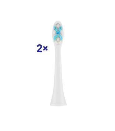 ETA Toothbrush replacement SoftClean ETA070790300 Heads For adults Number of brush heads included 2 Number